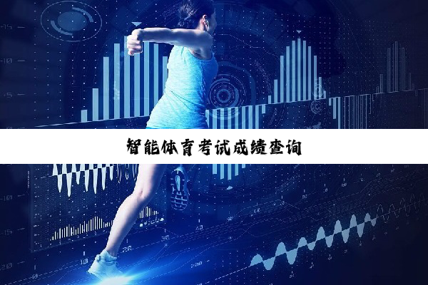 智能体育考试成绩查询